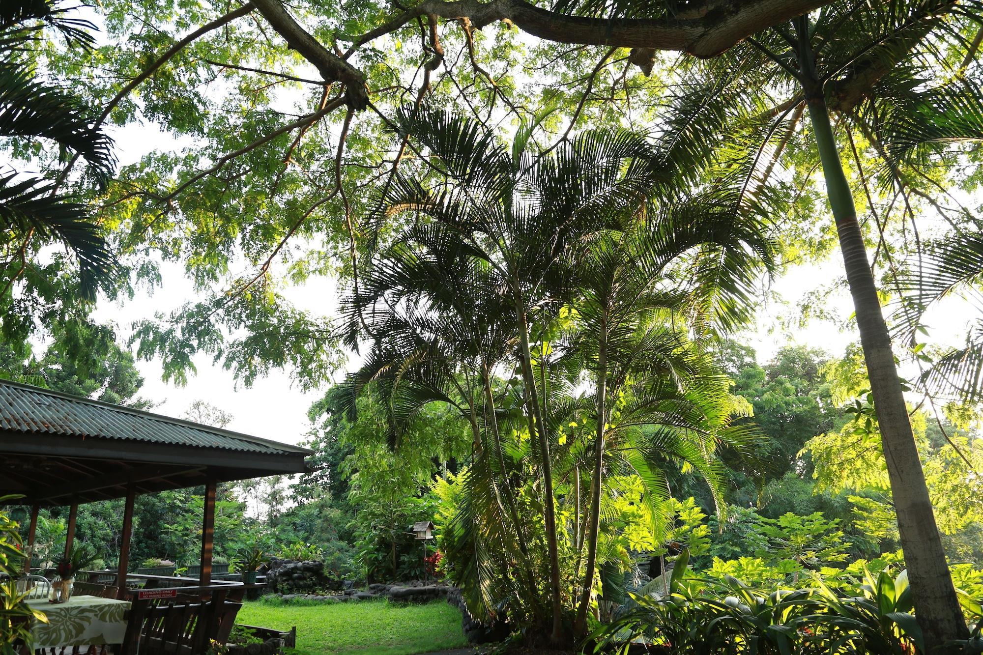 Hale Maluhia Country Inn Kailua-Kona Kültér fotó